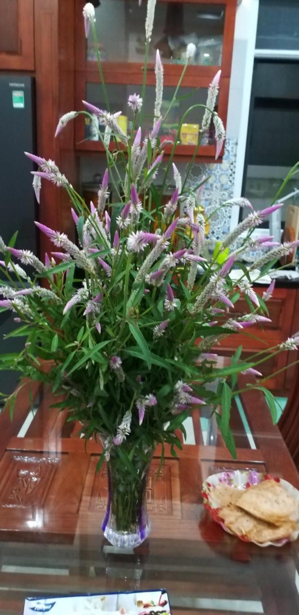 Garden House Con Dao Aparthotel Chi Khu Co Ong Kültér fotó